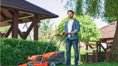 Important Factors to Consider When Choosing Lawn Care Services